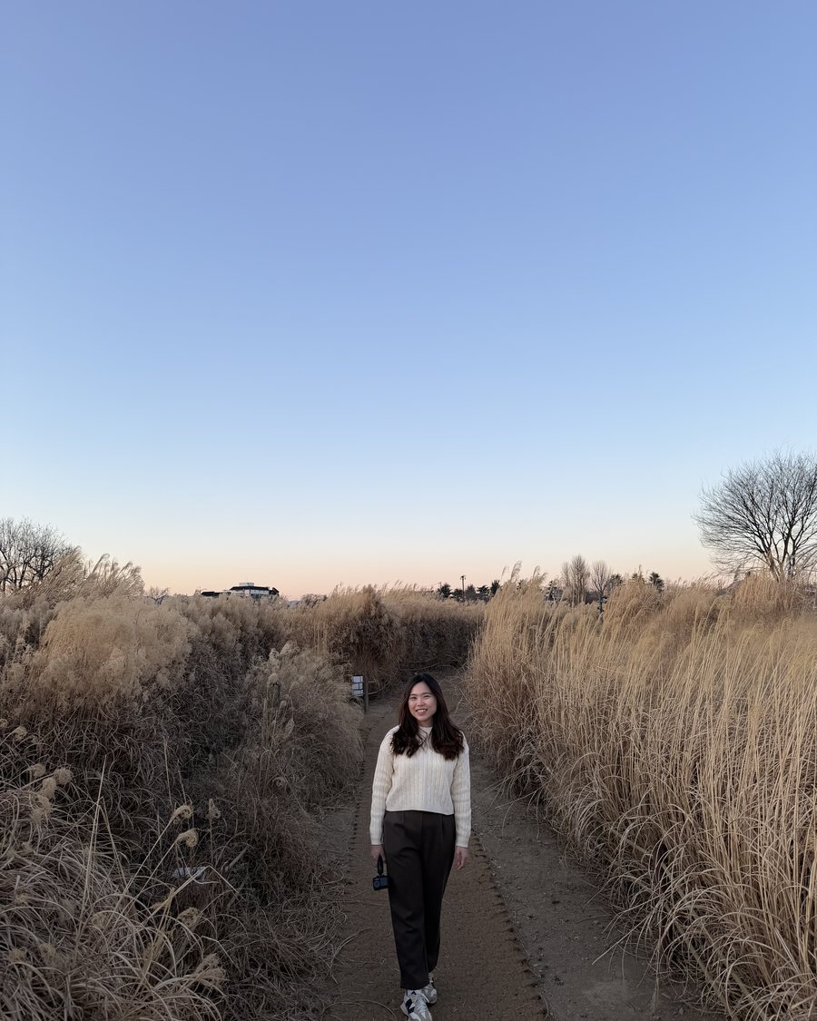 Ivy walking a dirt path between banks of silver grass taller than she is, Gyeongju at dusk
